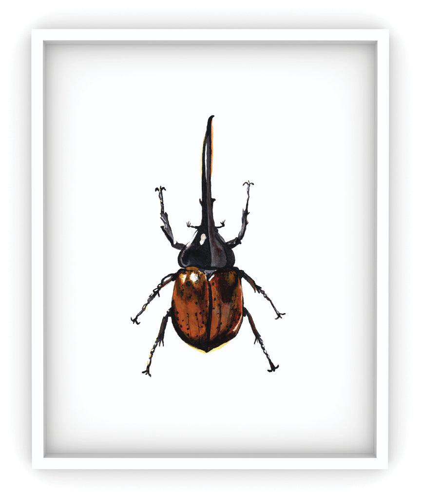 brown and black hercules beetle framed art print