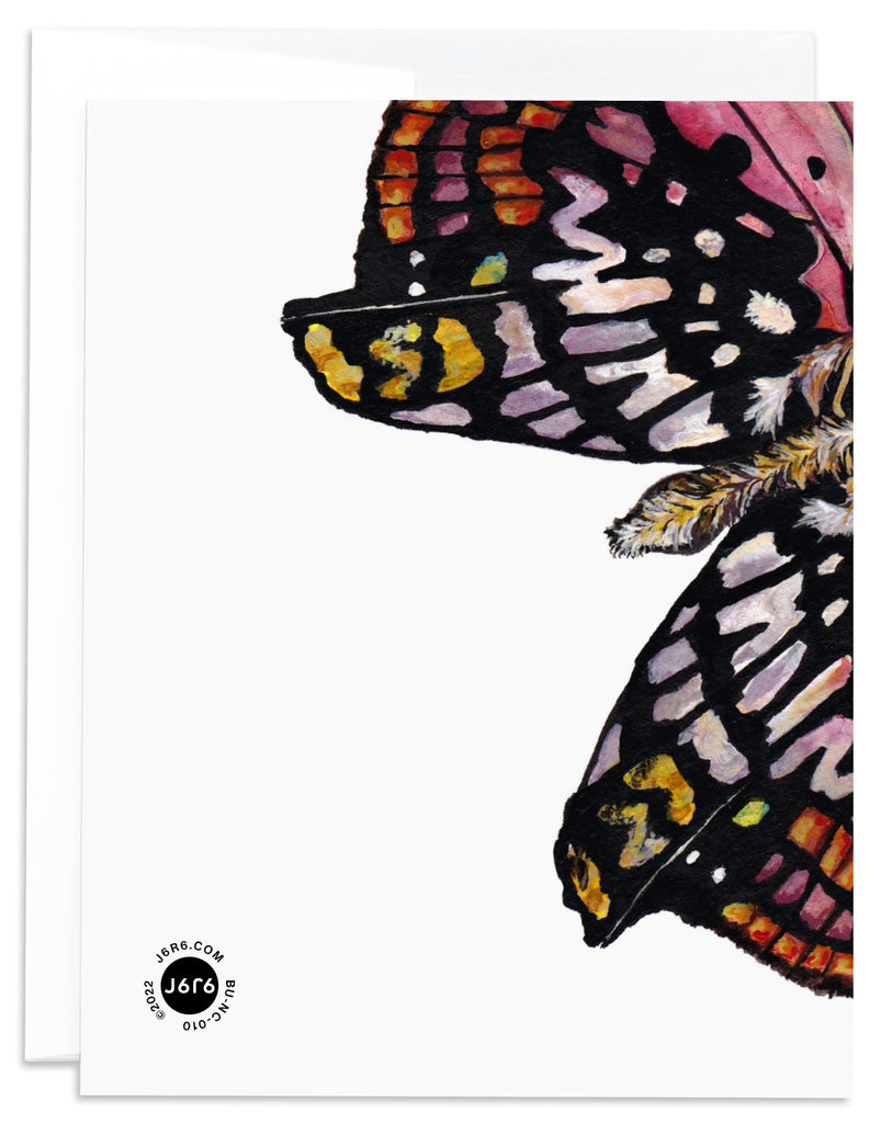 Charaxes Zingha Red and Pink Butterfly notecard back