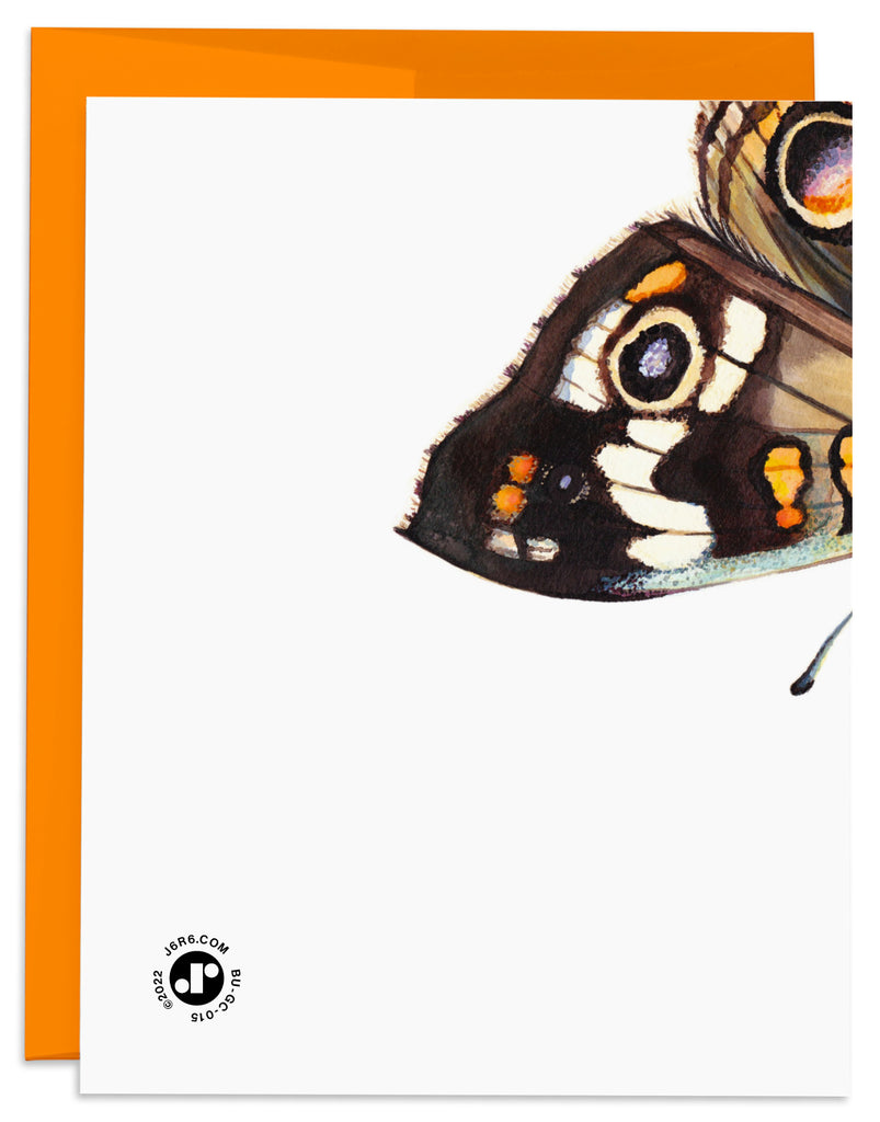 Buckeye Butterfly Birthday Card Back