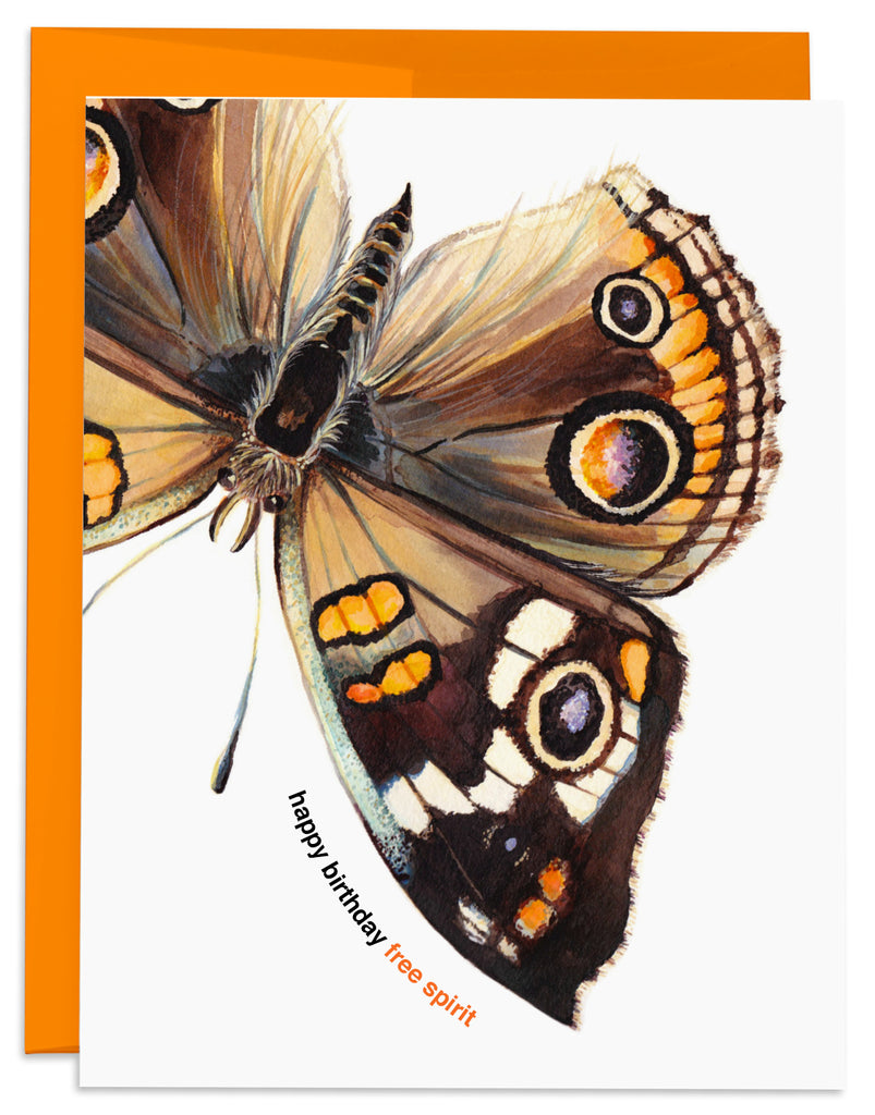 Buckeye Butterfly Birthday Card with Orange Envelope