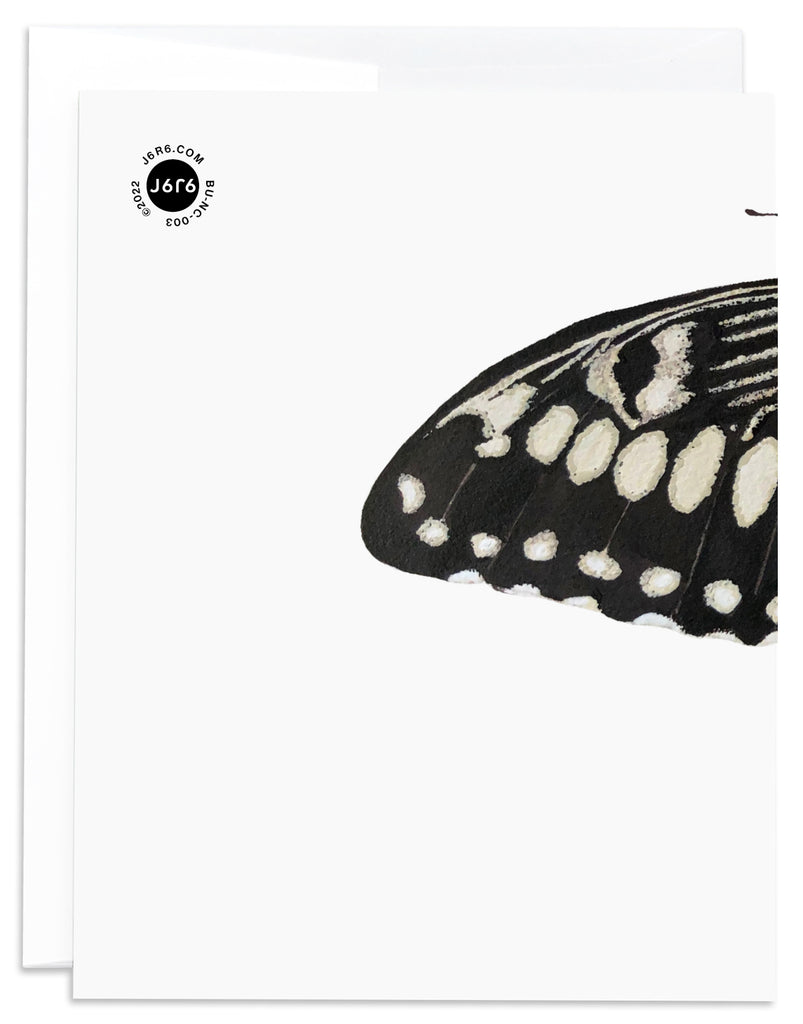 brown swallowtail butterfly card back