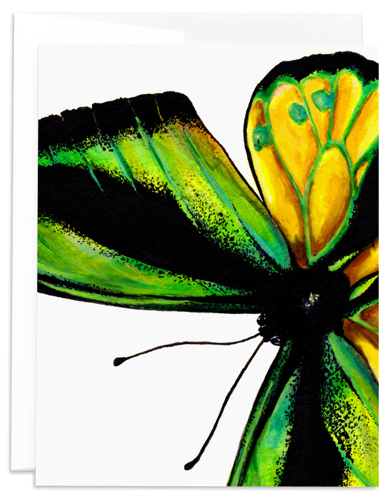 Green and Yellow Butterfly Card Front