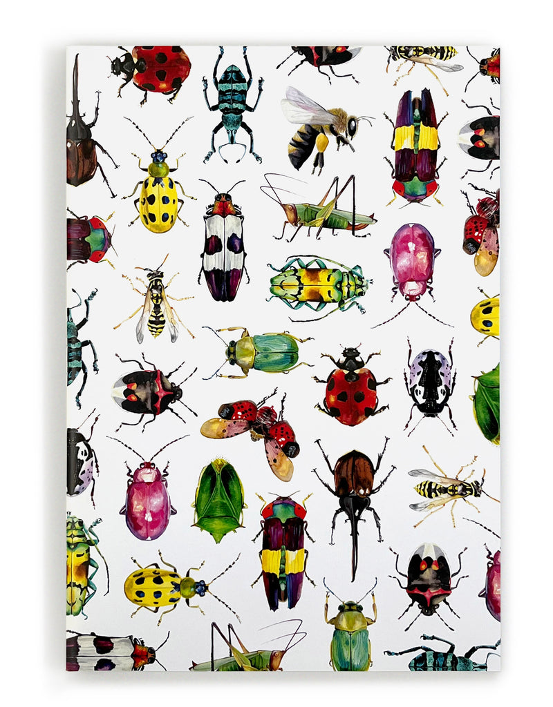 insect notebook front