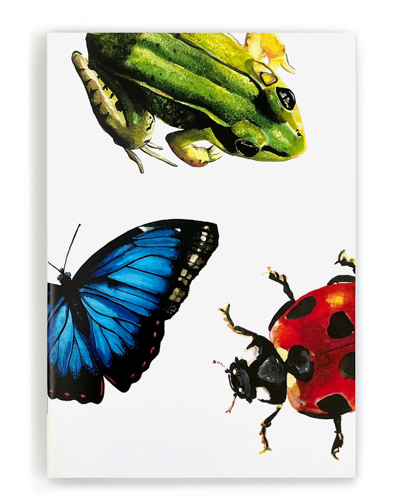 frog ladybug and blue butterfly notebook front