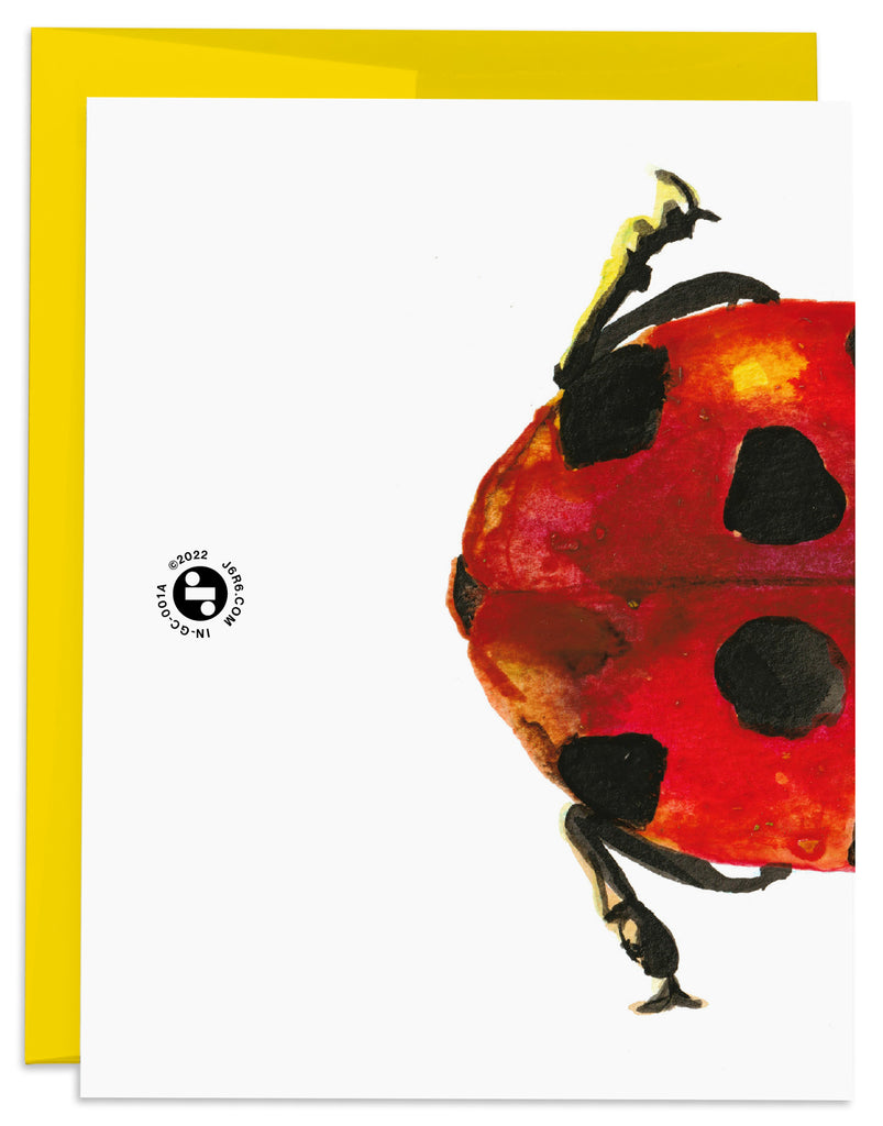 J6R6 Ladybug Birthday Card with yellow envelope back