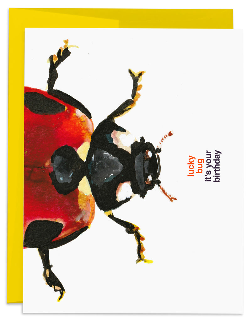 J6R6 Ladybug Birthday Card With Yellow Envelope
