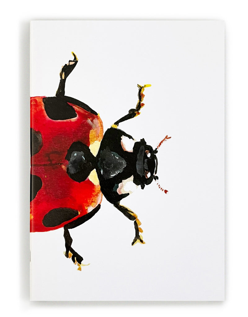 ladybug notebook front