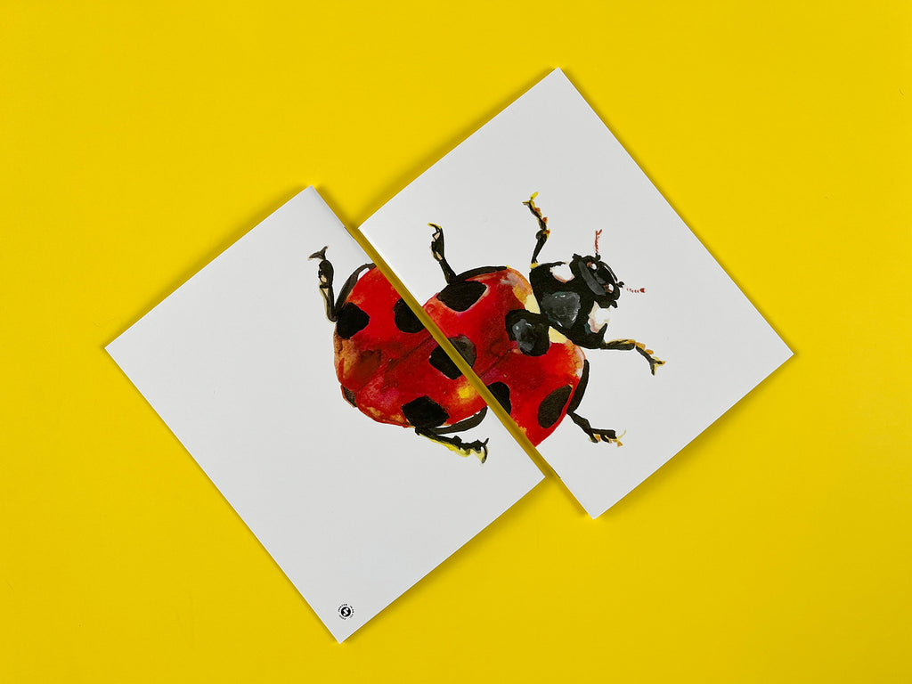 Ladybug Notebook Notebooks – J6R6