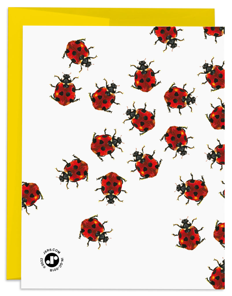 ladybug hooray card back