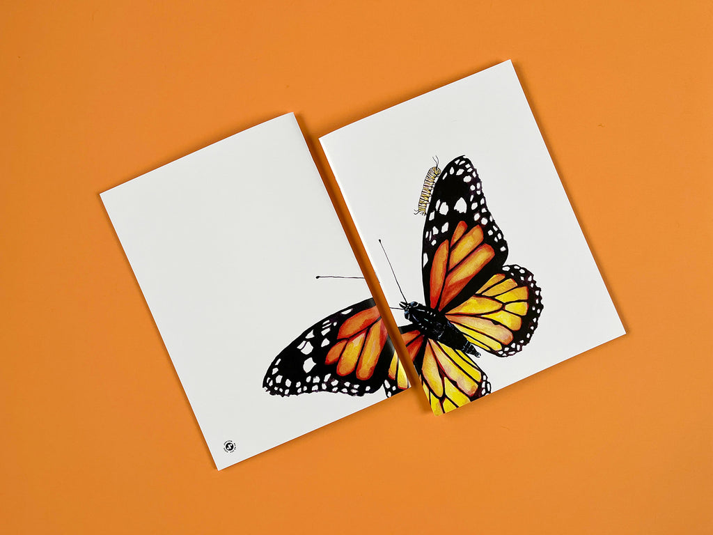 orange butterfly notebook front and back