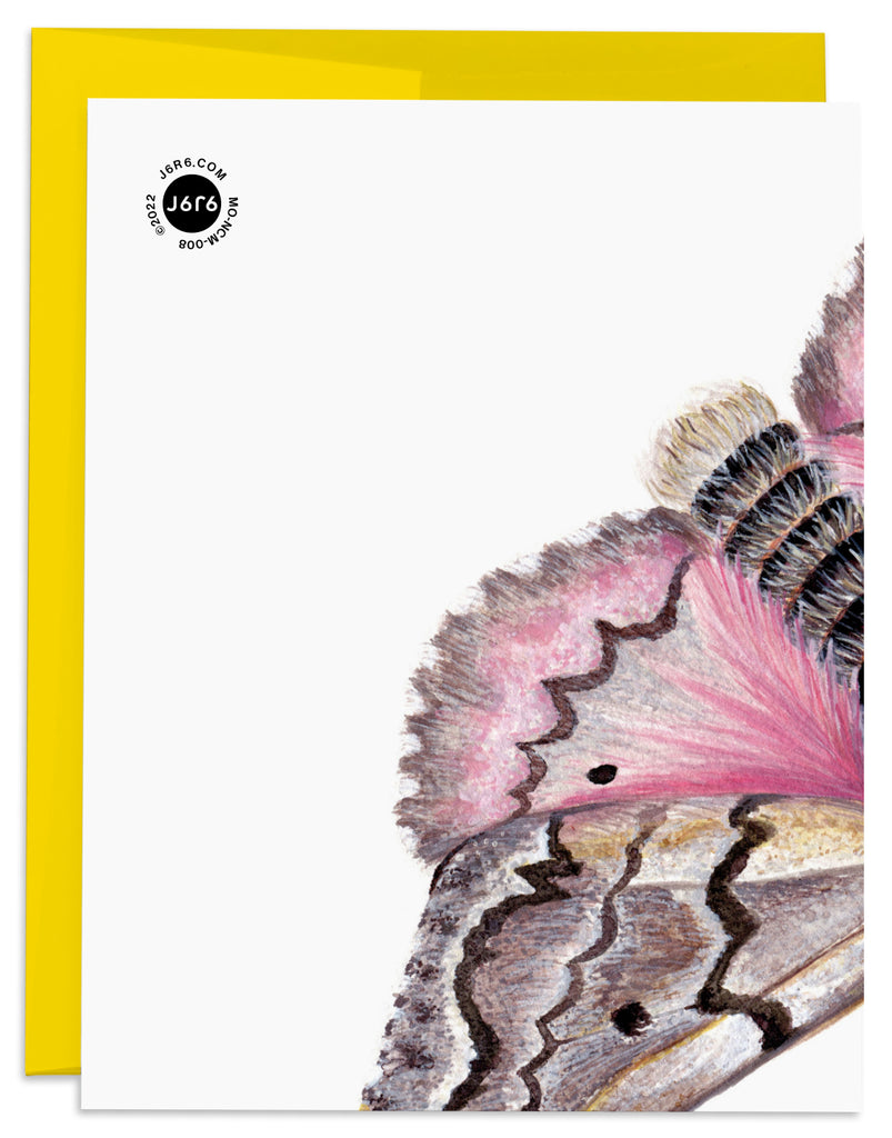 Pink Pandora Moth Birthday Card Back with Yellow Envelope