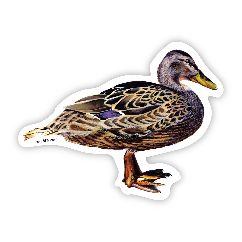 J6R6 mallard duck vinyl sticker