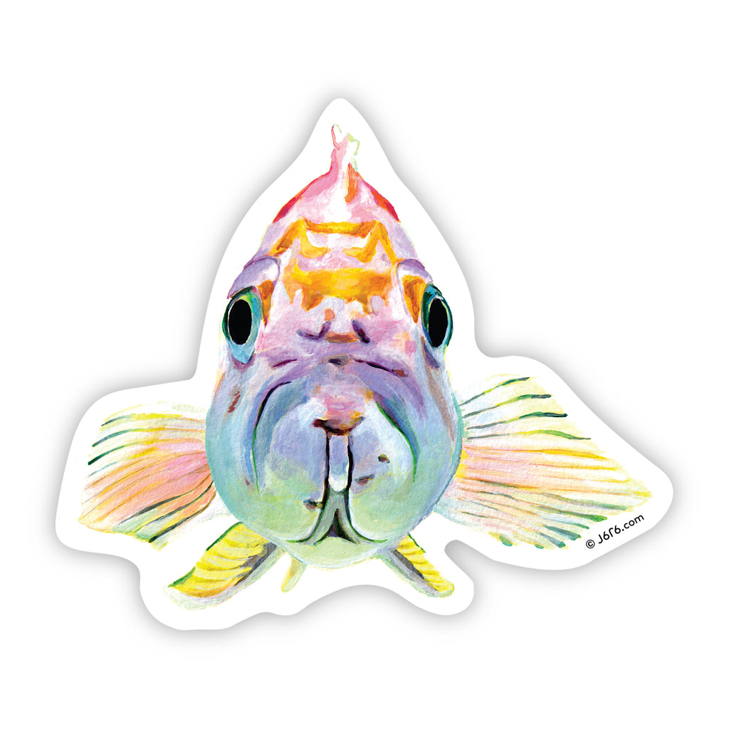 J6R6 pastel colored fish sticker