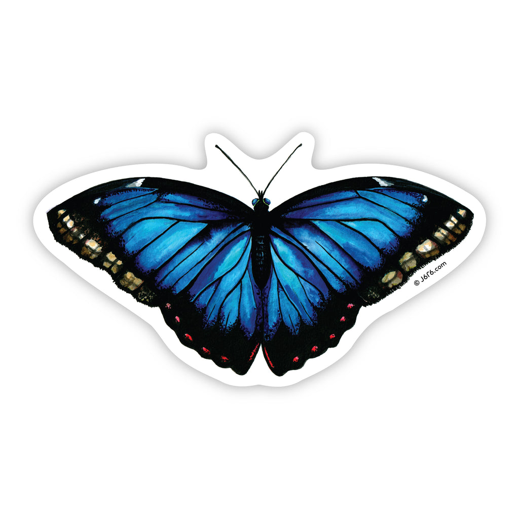 blue morpho butterfly sticker by J6R6