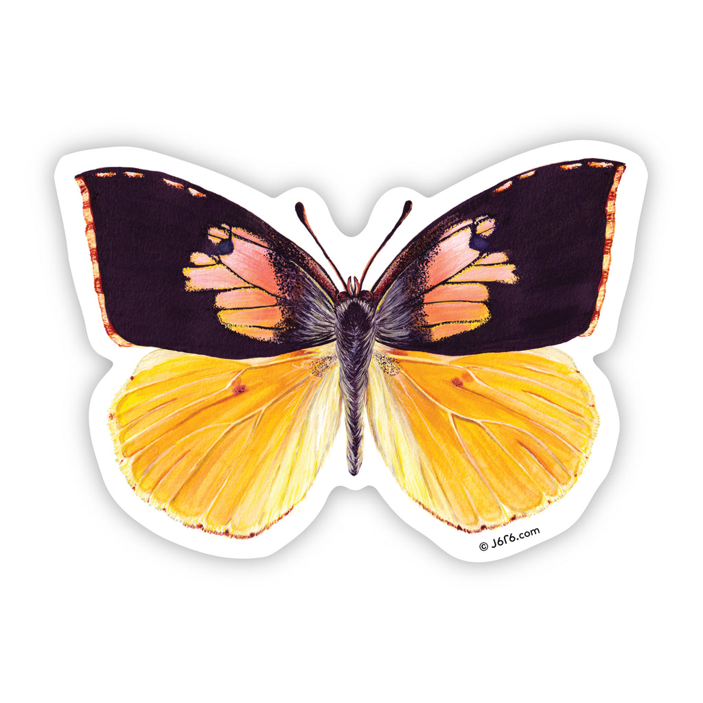 yellow and pink butterfly by J6R6