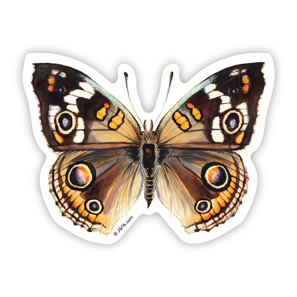 brown and orange butterfly by J6R6