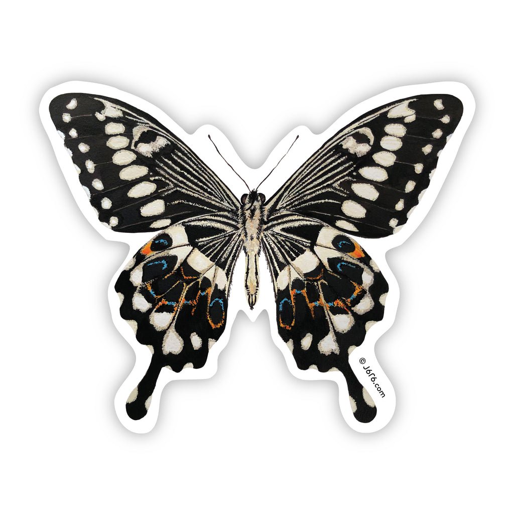 swallow tail butterfly sticker by J6R6