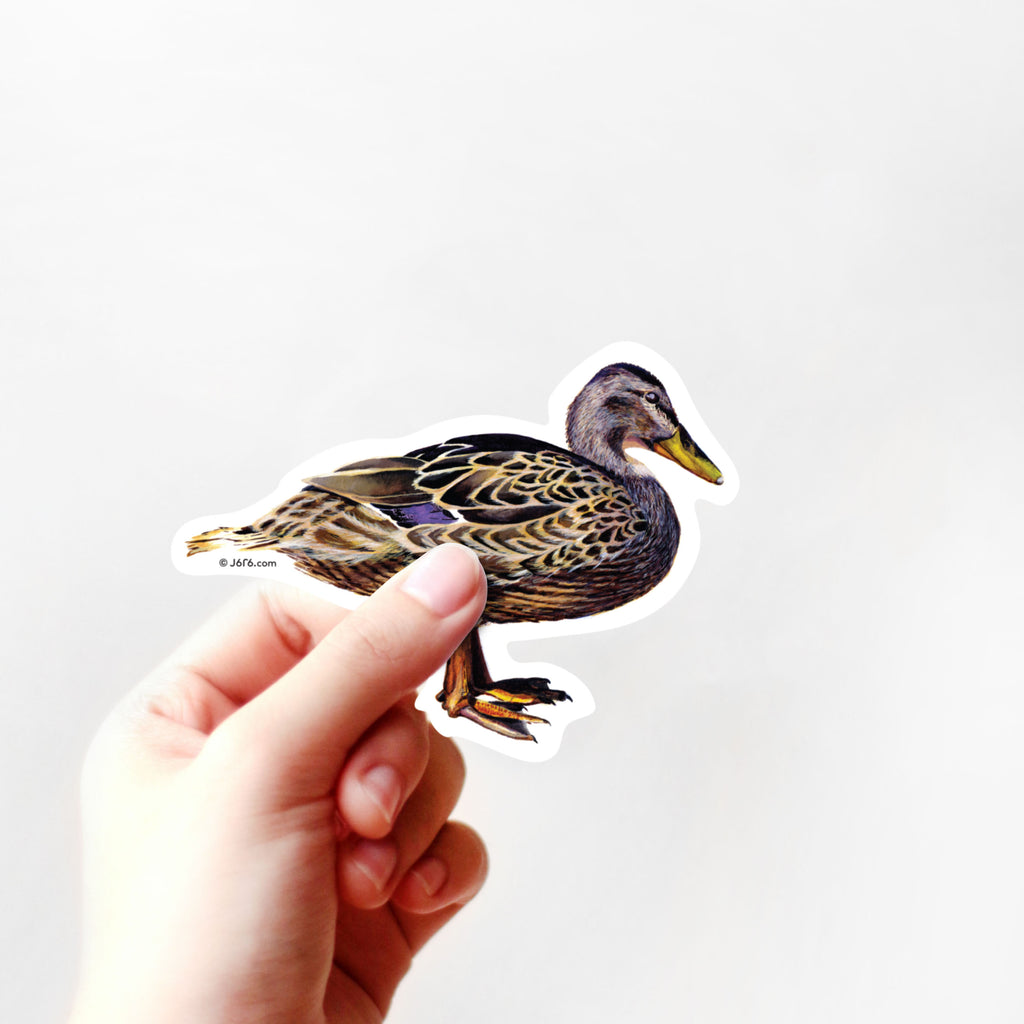 hand holding mallard duck vinyl sticker