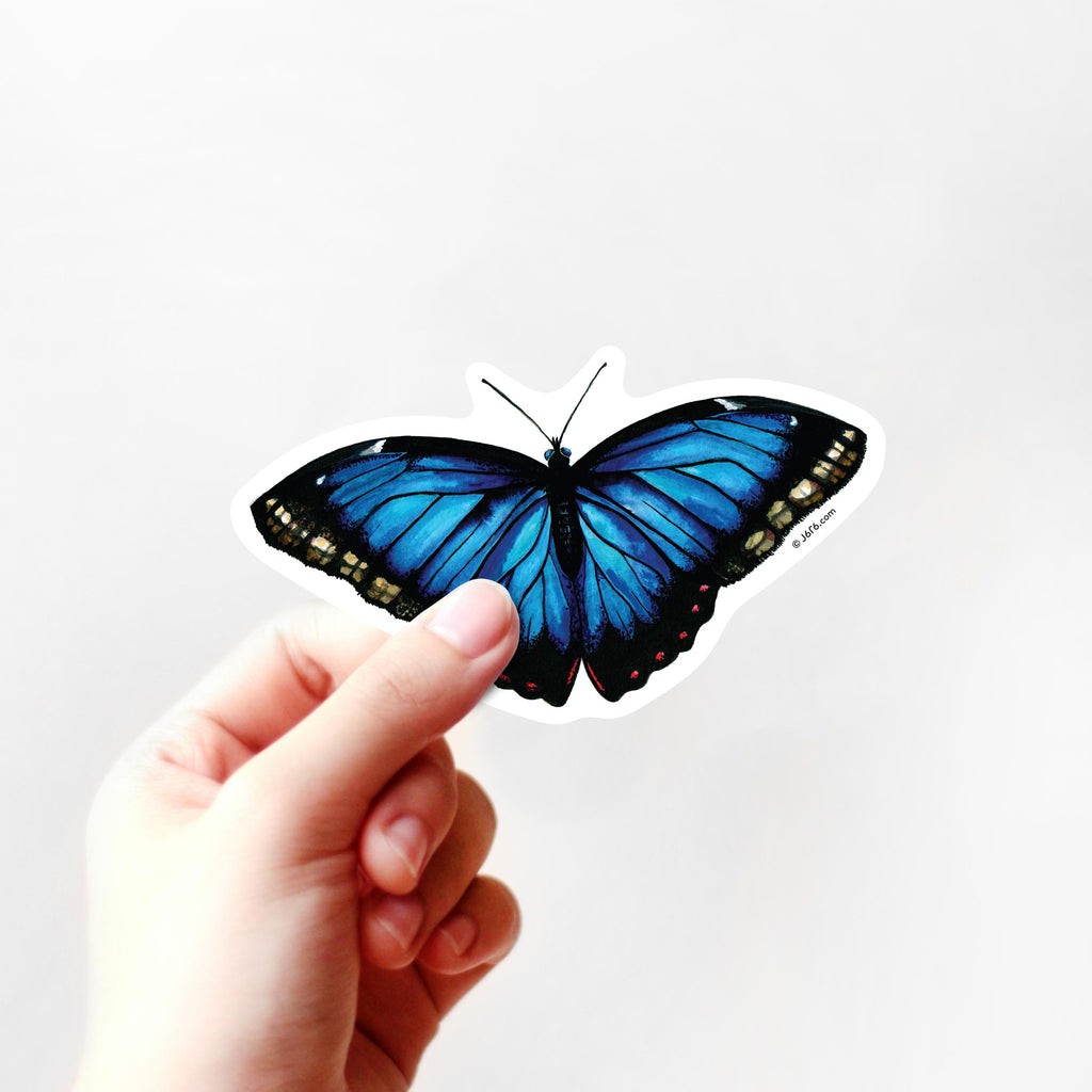 blue morpho butterfly sticker in hand
