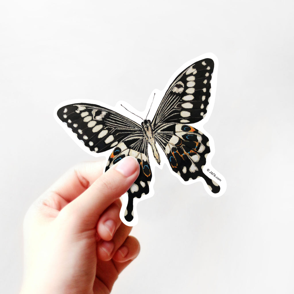 hand holding brown butterfly sticker