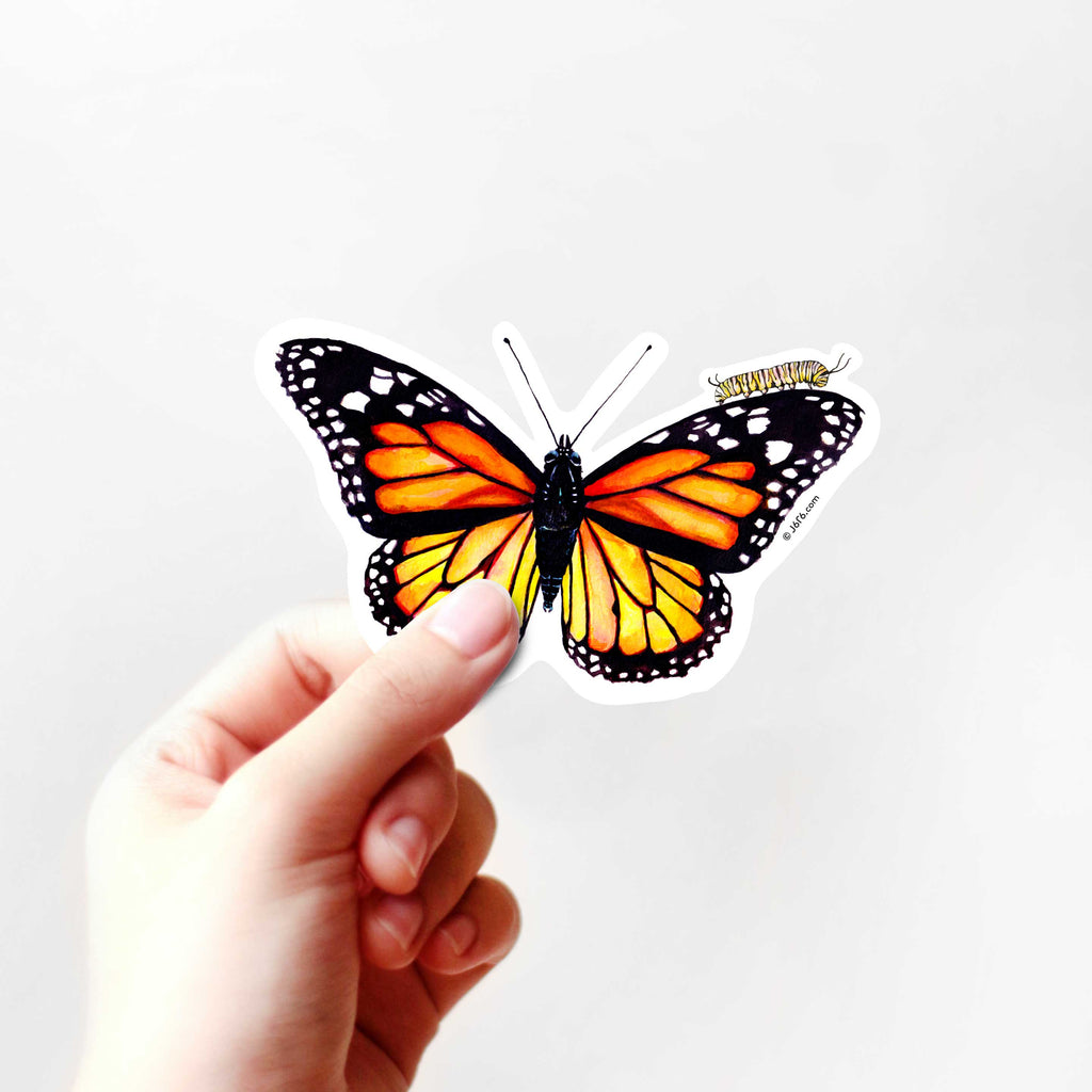 Monarch butterfly and caterpillar vinyl sticker in hand by J6R6
