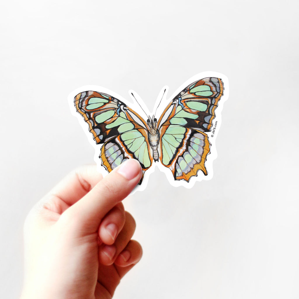 hand holding malachite butterfly sticker