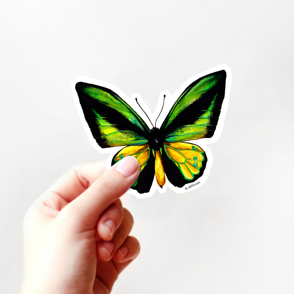 green and yellow butterfly sticker in hand
