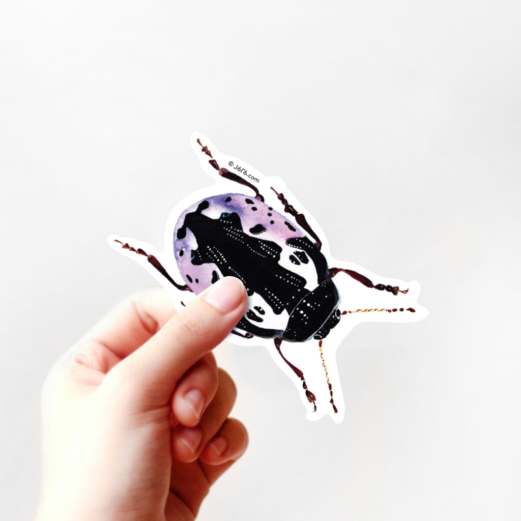 hand holding calligrapha pink beetle sticker