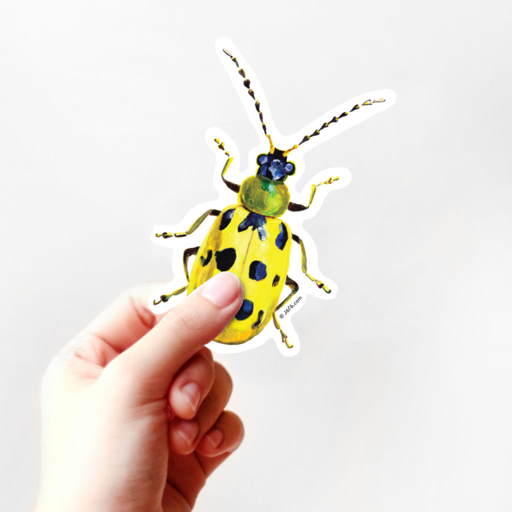 hand holding cucumber beetle vinyl sticker