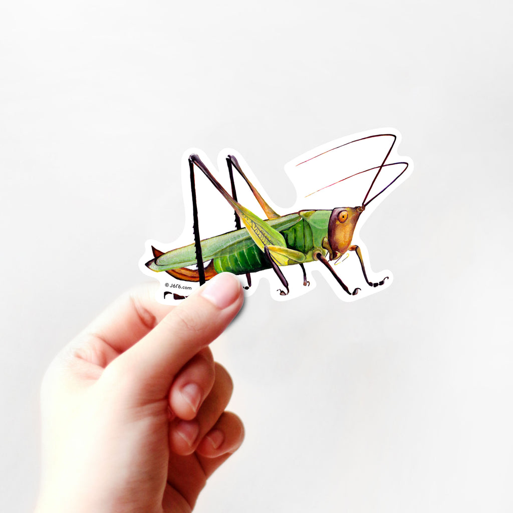 green grasshopper vinyl sticker in hand