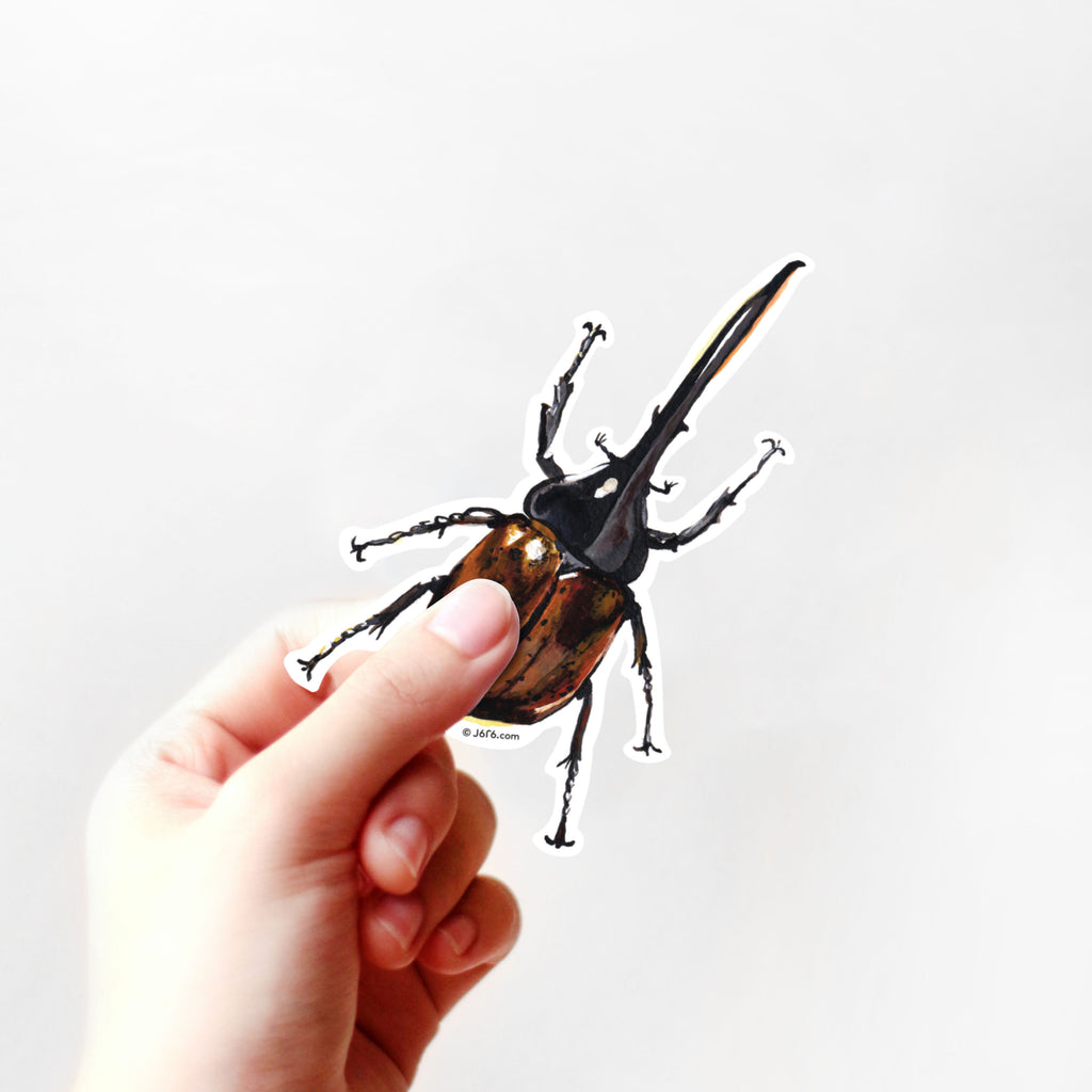 hand holding hercules beetle sticker