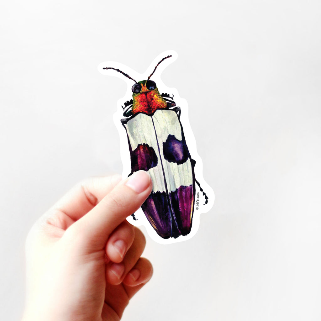 hand holding purple and pink jewel beetle vinyl sticker