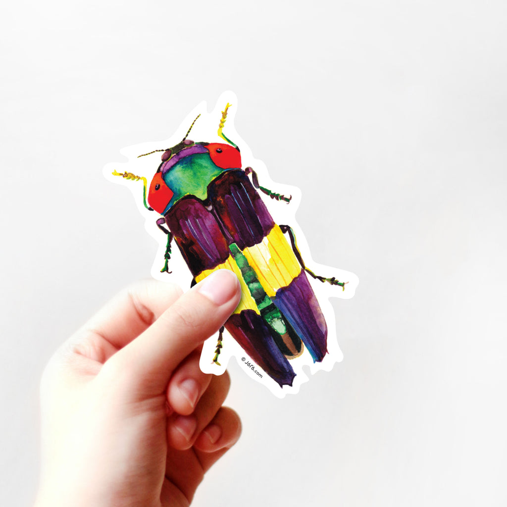 hand holding jewel beetle vinyl sticker