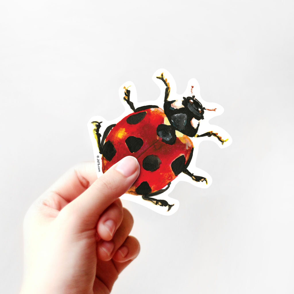hand holding ladybug vinyl sticker