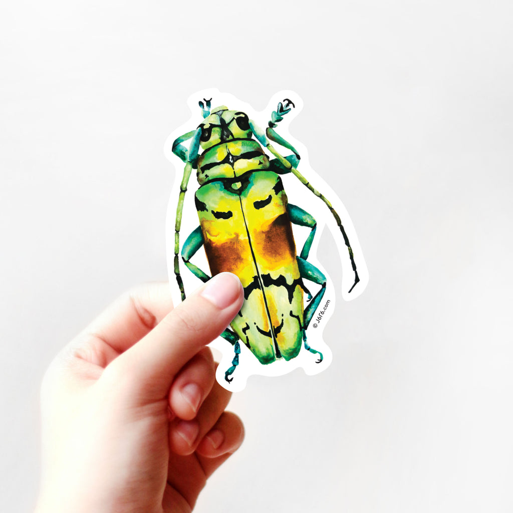 hand holding green and yellow longhorn beetle vinyl sticker