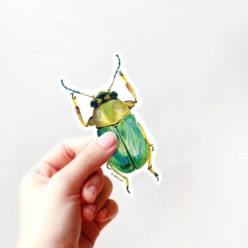 hand holding yellow and green scarab beetle vinyl sticker