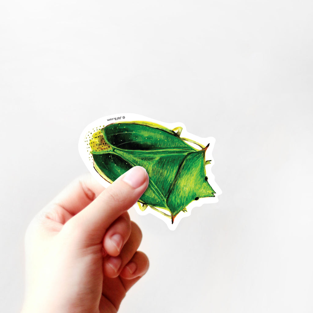 hand holding green shield beetle sticker