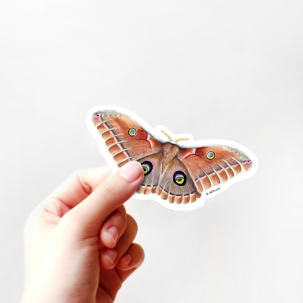 brown and pink moth sticker in hand