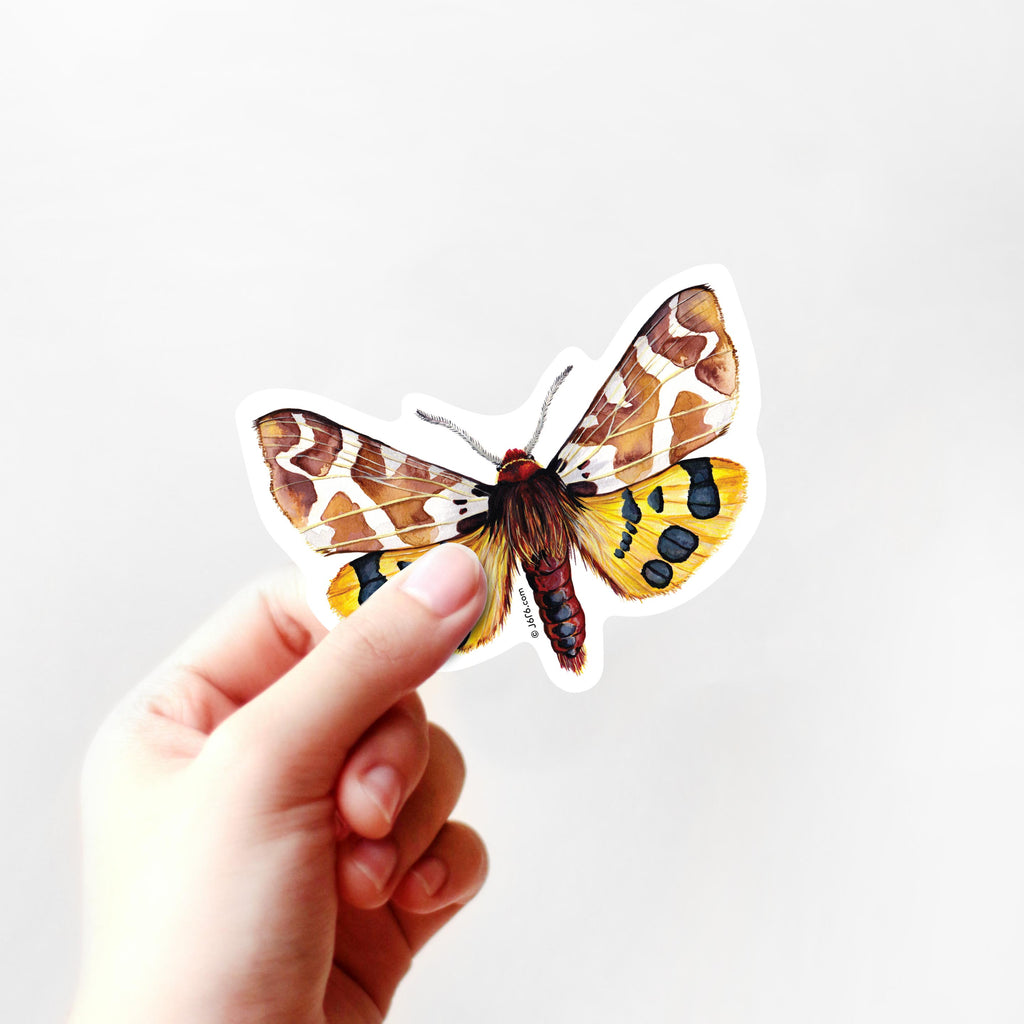 yellow brown and red moth sticker in hand