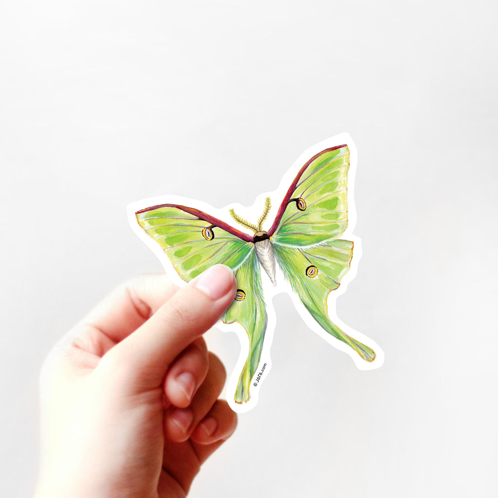 green moth sticker in hand