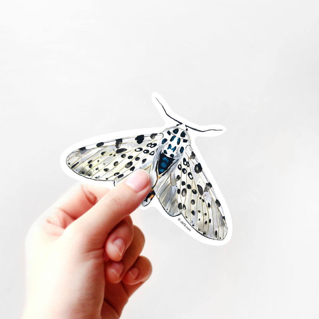 hand holding leopard moth vinyl sticker