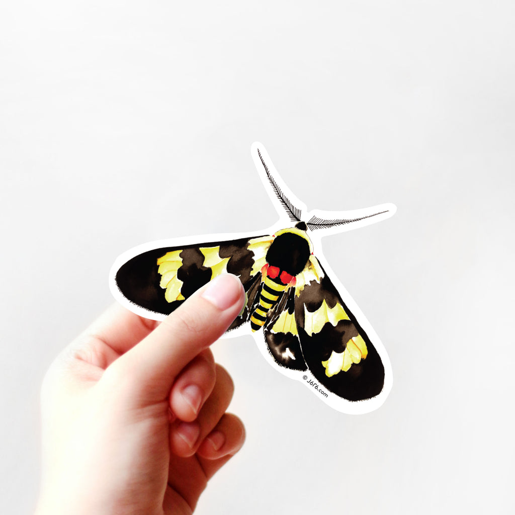 hand holding black and yellow moth sticker