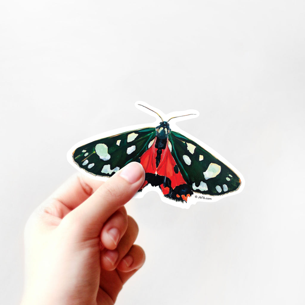 hand holding red and green moth vinyl sticker
