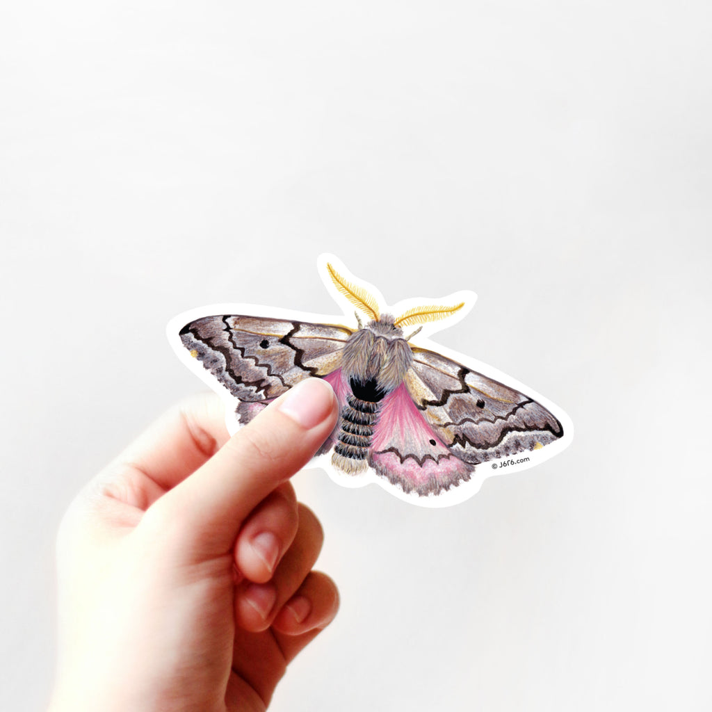 hand holding brown and pink moth sticker