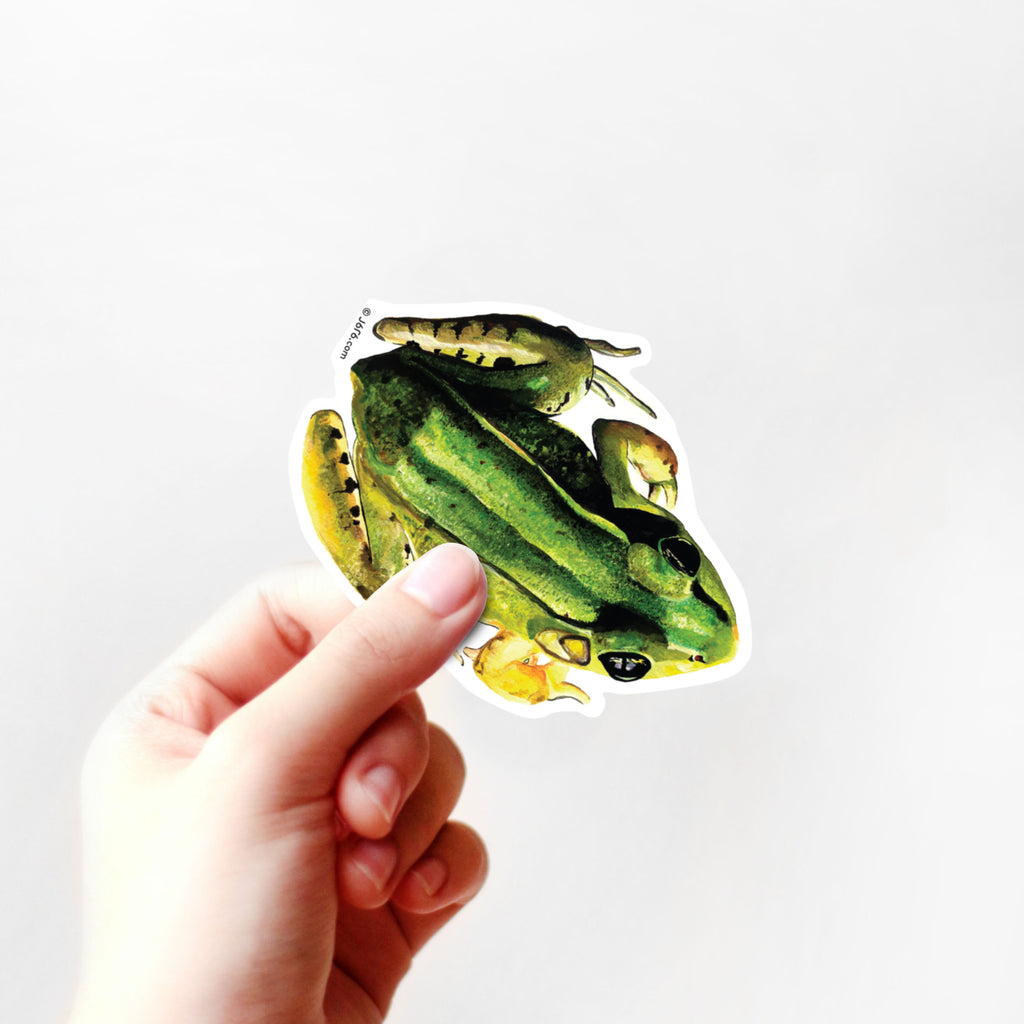 hand holding green frog vinyl sticker