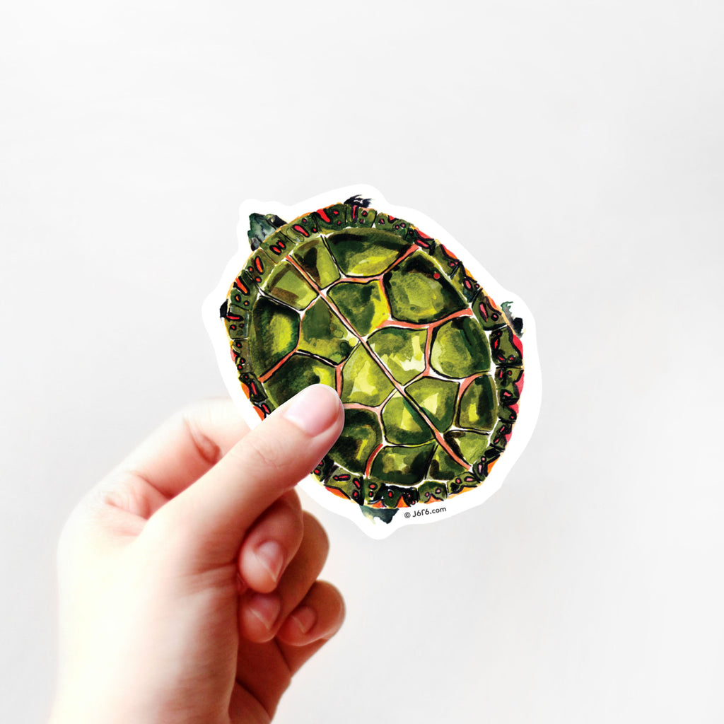 hand holding painted turtle vinyl sticker