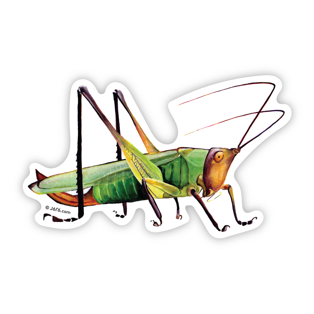 green grasshopper vinyl sticker by J6R6