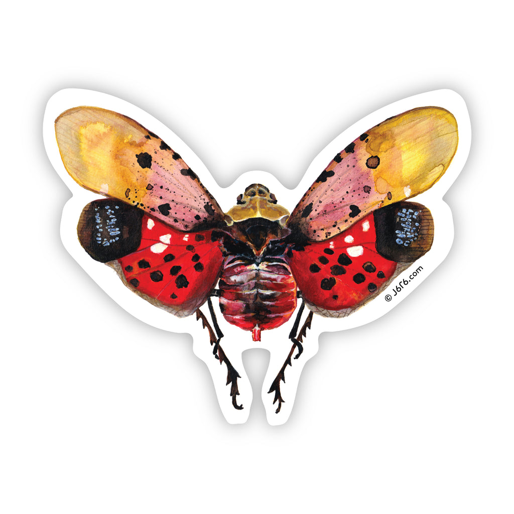red lanternfly sticker by J6R6