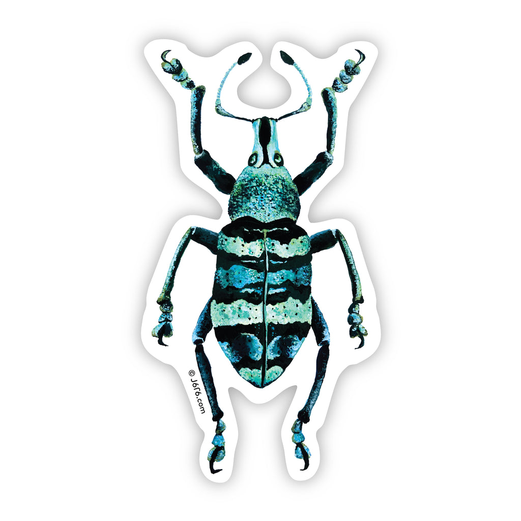turquoise and black weevil vinyl sticker by J6R6