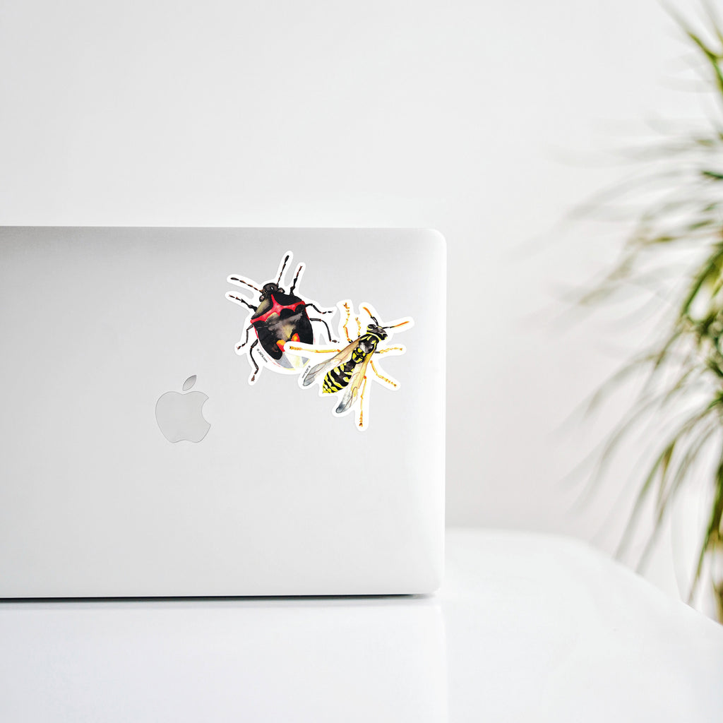 laptop computer decorated with stinkbug and wasp stickers